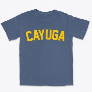 Cayuga New York Classic Curve Premium Heavyweight T-shirt