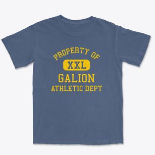 Galion Ohio Athletic Dept Premium Heavyweight T-shirt