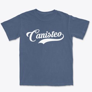 Canisteo New York Vintage Team Premium Heavyweight T-shirt