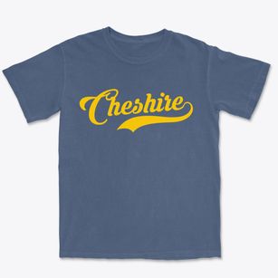 Cheshire Connecticut Vintage Team Premium Heavyweight T-shirt