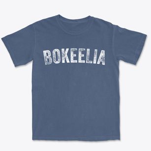 Bokeelia Florida Timeless Retro Premium Heavyweight T-shirt