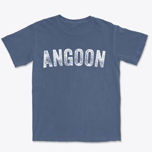 Angoon Alaska Timeless Retro Premium Heavyweight T-shirt
