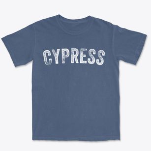 Cypress Illinois Timeless Retro Premium Heavyweight T-shirt