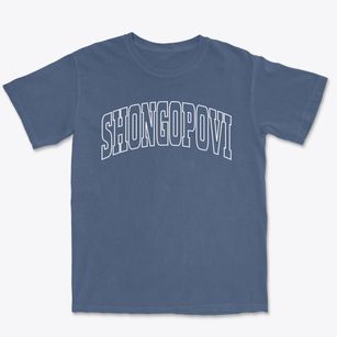 Shongopovi Arizona Trendy Block Premium Heavyweight T-shirt