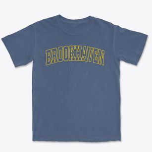 Brookhaven New York Trendy Block Premium Heavyweight T-shirt