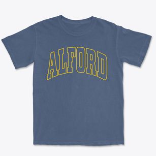 Alford Florida Trendy Block Premium Heavyweight T-shirt