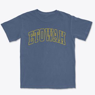 Etowah Arkansas Trendy Block Premium Heavyweight T-shirt