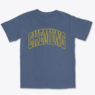 Chemung Illinois Trendy Block Premium Heavyweight T-shirt
