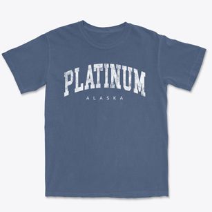 Platinum Alaska Urban Vibe Premium Heavyweight T-shirt