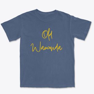 Old Wauconda Washington Freestyle Premium Heavyweight T-shirt