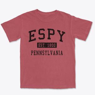 Espy Pennsylvania Classic Established Premium Heavyweight T-shirt
