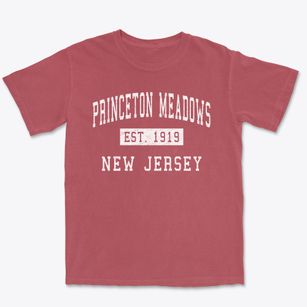 Princeton Meadows New Jersey Classic Established Premium Heavyweight T-shirt