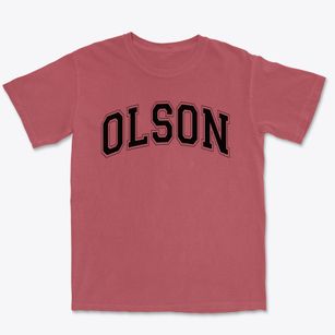 Olson Elementary School Varsity Arch Premium Heavyweight T-shirt