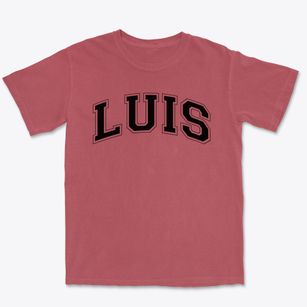 Ps 159 Luis Munoz Marin Varsity Arch Premium Heavyweight T-shirt
