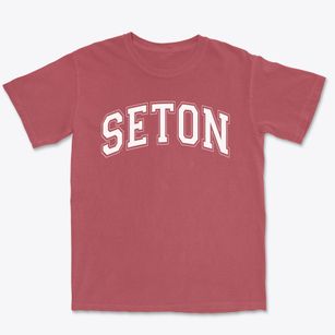 Seton Catholic College Prep High School Varsity Arch Premium Heavyweight T-shirt