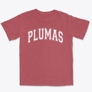 Plumas Elementary School Varsity Arch Premium Heavyweight T-shirt