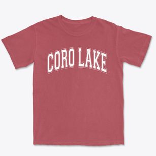 Coro Lake Elementary School Varsity Arch Premium Heavyweight T-shirt