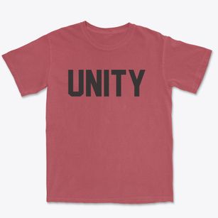 Unity New Hampshire Classic Block Premium Heavyweight T-shirt