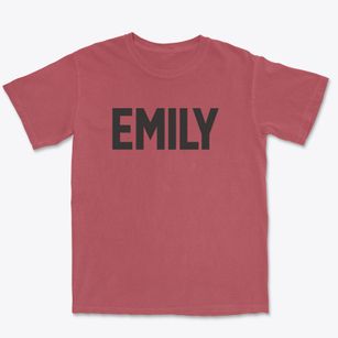 Emily Minnesota Classic Block Premium Heavyweight T-shirt