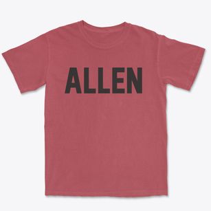 Allen Texas Classic Block Premium Heavyweight T-shirt