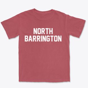 North Barrington Illinois Classic Block Premium Heavyweight T-shirt