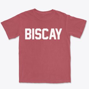 Biscay Minnesota Classic Block Premium Heavyweight T-shirt