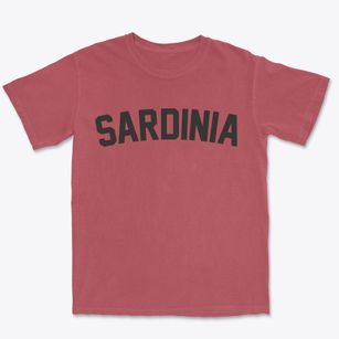 Sardinia New York Classic Curve Premium Heavyweight T-shirt