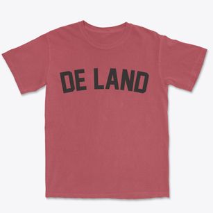 De Land Illinois Classic Curve Premium Heavyweight T-shirt