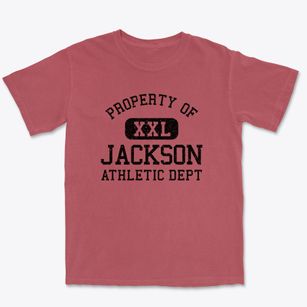 Jackson New Hampshire Athletic Dept Premium Heavyweight T-shirt