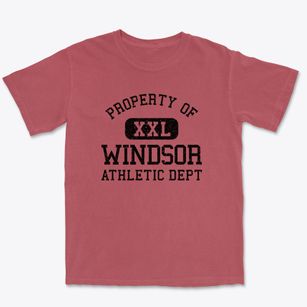 Windsor Colorado Athletic Dept Premium Heavyweight T-shirt