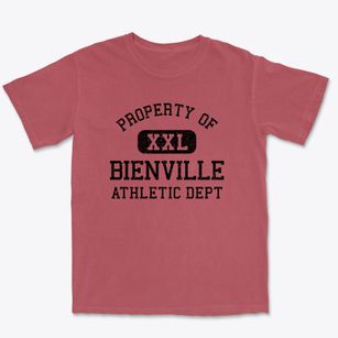 Bienville Louisiana Athletic Dept Premium Heavyweight T-shirt