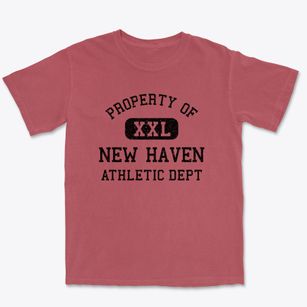 New Haven Iowa Athletic Dept Premium Heavyweight T-shirt