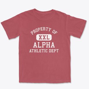 Alpha Illinois Athletic Dept Premium Heavyweight T-shirt