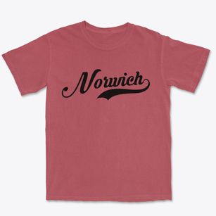 Norwich New York Vintage Team Premium Heavyweight T-shirt