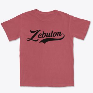 Zebulon North Carolina Vintage Team Premium Heavyweight T-shirt