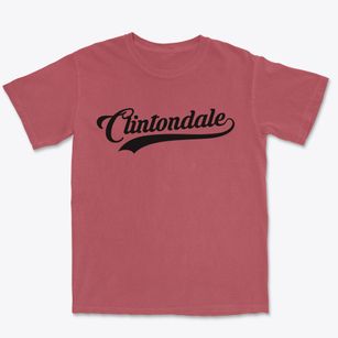 Clintondale New York Vintage Team Premium Heavyweight T-shirt