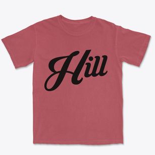 Hill New Hampshire Vintage Team Premium Heavyweight T-shirt
