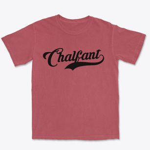 Chalfant Pennsylvania Vintage Team Premium Heavyweight T-shirt