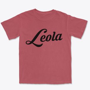Leola South Dakota Vintage Team Premium Heavyweight T-shirt