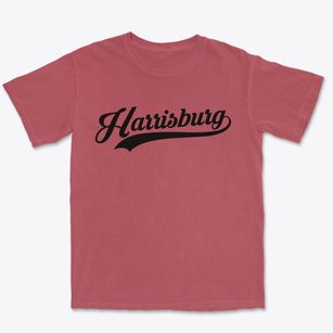 Harrisburg New York Vintage Team Premium Heavyweight T-shirt