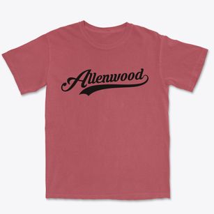 Allenwood Pennsylvania Vintage Team Premium Heavyweight T-shirt