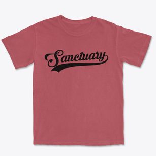 Sanctuary Texas Vintage Team Premium Heavyweight T-shirt