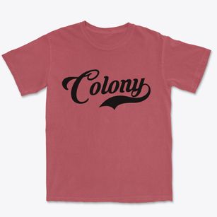 Colony Alabama Vintage Team Premium Heavyweight T-shirt