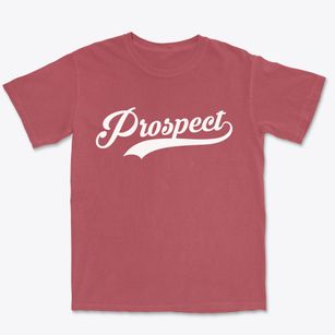 Prospect Pennsylvania Vintage Team Premium Heavyweight T-shirt