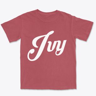 Ivy Virginia Vintage Team Premium Heavyweight T-shirt