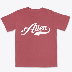 Allen New York Vintage Team Premium Heavyweight T-shirt
