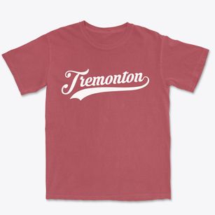 Tremonton Utah Vintage Team Premium Heavyweight T-shirt