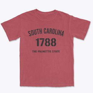  South Carolina Established Premium Heavyweight T-shirt