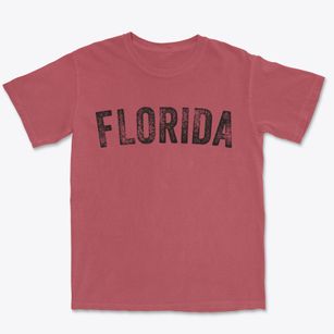 Florida Missouri Timeless Retro Premium Heavyweight T-shirt