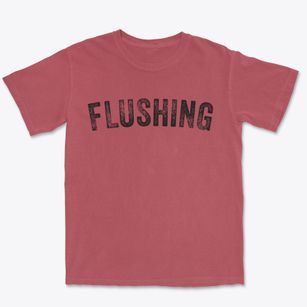 Flushing Michigan Timeless Retro Premium Heavyweight T-shirt